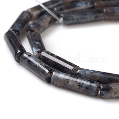 Natural Larvikite Beads Strands&nbsp;G-F247-23