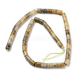 Natural Crazy Lace Agate Beads Strands&nbsp;G-Q1008-A08