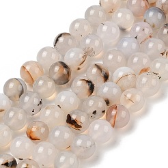 Natural Dendritic Agate Beads Strands&nbsp;G-A248-A07-02