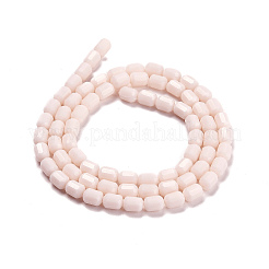 Opaque Glass Beads Strands&nbsp;GLAA-G112-04P