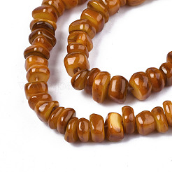 Natural Trochid Shell/Trochus Shell Beads Strands&nbsp;SHEL-S258-081-B09