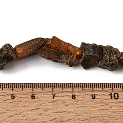 Raw Rough Natural Amber Beads Strands&nbsp;GG-CBAC13F-D01-02