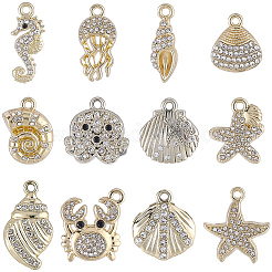 24Pcs 12 Styles Alloy Crystal Rhinestone Pendants&nbsp;FIND-BM0001-79A