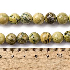 Natural Verdite Stone Beads Strands&nbsp;G-C242-03-10mm
