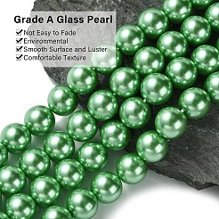 Eco-Friendly Glass Pearl Beads Strands&nbsp;HY-A008-12mm-RB008