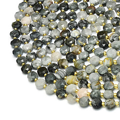Natural Eagle Eye Stone Beads Strands&nbsp;G-C116-A41-02