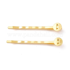 Iron Hair Bobby Pin Findings&nbsp;PHAR-Q017-G1