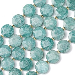 Natural Amazonite Beads Strands&nbsp;G-L654-N03-01
