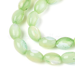 Natural Trochus Shell Beads Strands&nbsp;X-SHEL-K006-19-01C