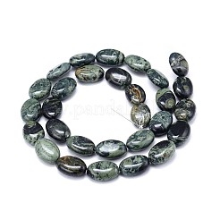 Natural Kambaba Jasper Beads Strands&nbsp;G-M206-17