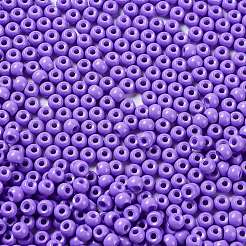 Baking Paint Glass Seed Beads&nbsp;SEED-H002-I-A505
