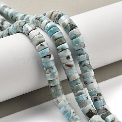 Natural Larimar Beads Strands&nbsp;G-Q024-B03-05