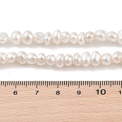 Electroplated Shell Pearl Beads Strands&nbsp;BSHE-C006-06A