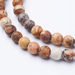 Gemstone Beads Strands&nbsp;GSR4mmC016
