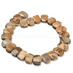 Natural Picture Jasper Beads Strands&nbsp;G-C285-A11-01