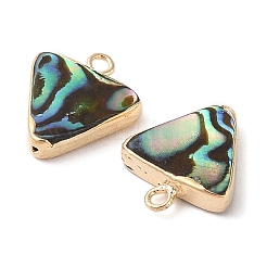 Natural Paua Shell Pendants&nbsp;SHEL-P017-20G