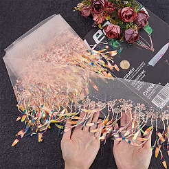 Polyester Tassel Lace Ribbon&nbsp;OCOR-WH20006-02A-01