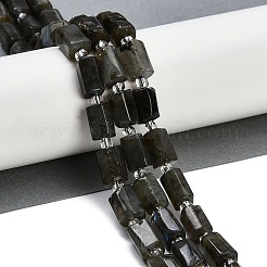 Natural Labradorite Beads Strands&nbsp;G-G162-D13-01