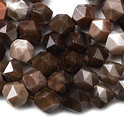 Natural Petrified Wood Beads Strands&nbsp;G-Z119-A21-02