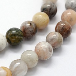 Natural Bamboo Leaf Agate Beads Strands&nbsp;G-I199-13-6mm