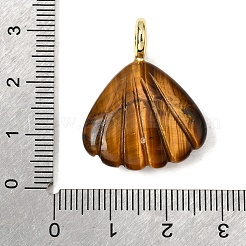 Natural Tiger Eye Carved Pendants&nbsp;G-C282-05D