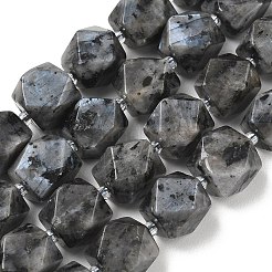 Natural Labradorite Beads Strands&nbsp;GG-CBAF8A8-A05-01