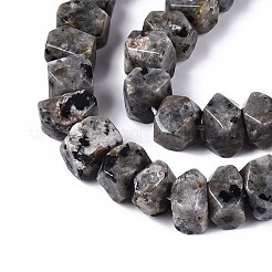 Natural Syenite Beads Strands&nbsp;G-N327-05-27