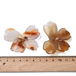 Natural Red Agate Carved Beads&nbsp;G-L650-O01-01
