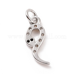 Brass Micro Pave Cubic Zirconia Charms&nbsp;KK-C012-09P