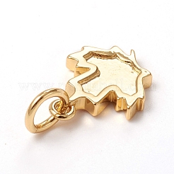Autumn Theme Brass Charms&nbsp;KK-I668-23