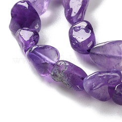 Natural Amethyst Beads Strands&nbsp;G-P497-01C-21