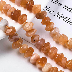 Natural Orange Botswana Agate Beads Strands&nbsp;G-S376-006