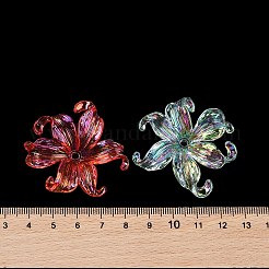 Transparent Acrylic Beads&nbsp;MACR-K358-06A