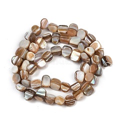 Natural Trochus Shell Beads Strands&nbsp;BSHE-Q050-01B