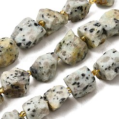 Raw Rough Natural Seaame Jasper Beads Strands&nbsp;G-Z087-B03