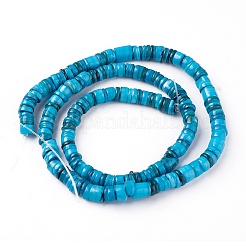 Shell Beads Strands&nbsp;SSHEL-E571-49C