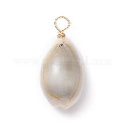 Natural Cowrie Shell Dyed Pendants&nbsp;X-PALLOY-JF01206