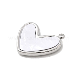 304 Stainless Steel Resin Pendants&nbsp;STAS-B113-06P