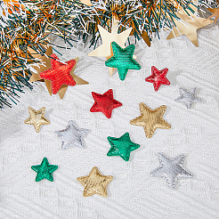 120Pcs 12 Style Christmas Star Non-woven Fabric Ornament Accessories&nbsp;DIY-FH0005-71