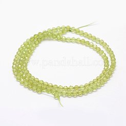 Natural Peridot Beads Strands&nbsp;LS-G-F460-52