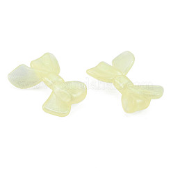 Transparent Luminous Acrylic Beads&nbsp;TACR-T007-11E