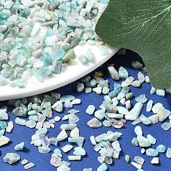 Natural Amazonite Chip Beads&nbsp;G-O103-08
