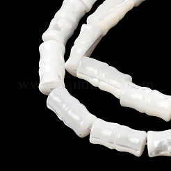 Natural Trochid Shell/Trochus Shell Beads Strands&nbsp;SHEL-A006-06A
