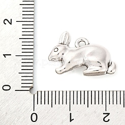 Tibetan Style Alloy Pendants&nbsp;FIND-A053-04AS