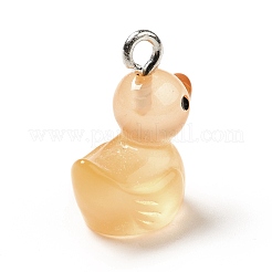 Luminous Translucent Resin Pendants&nbsp;RESI-A017-06