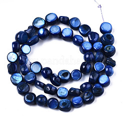 Natural Freshwater Shell Beads Strands&nbsp;X-SHEL-S276-110B-02