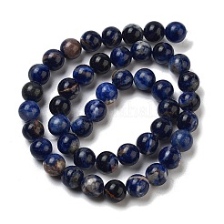 Natural South Africa Sodalite Beads Strands&nbsp;G-S259-35-8mm