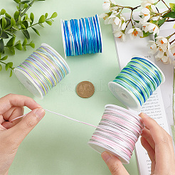 4 Rolls 4 Colors Segment Dyed Nylon Rattail Satin Cords&nbsp;NWIR-PH0002-14A