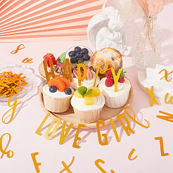 1 Set Birthday Theme Mirror Effect Acrylic Birthday Cupcake Insert Card Decoration&nbsp;AJEW-SP0001-76A