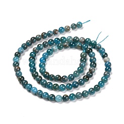 Natural Apatite Beads Strands&nbsp;X-G-D856-01-4mm